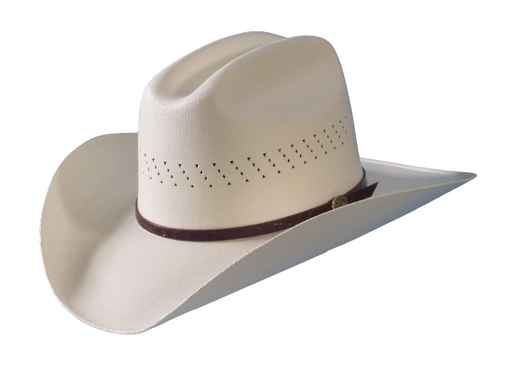 Cowboy Canvas