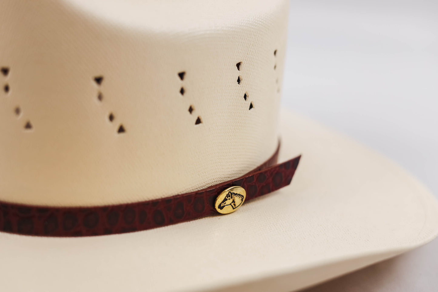 Cowboy Canvas